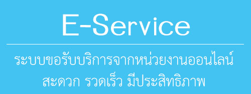 e Service