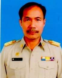 Pin