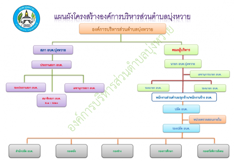 ผังโครงสร้าง
